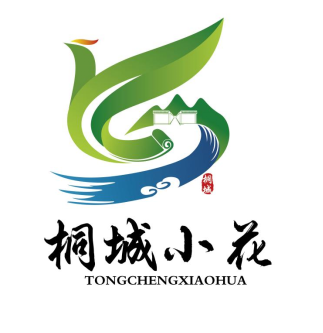 桐城小花 — 云成智码合作客户